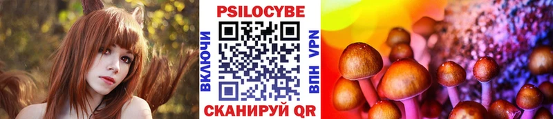 закладки  Нововоронеж  Галлюциногенные грибы прущие грибы 